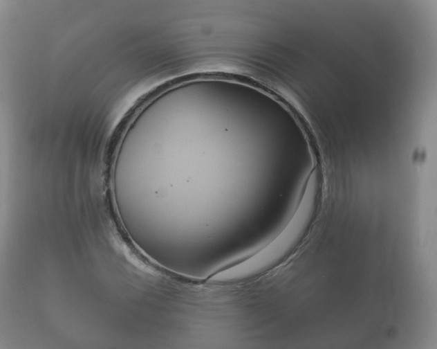 X0000112351116200908201433