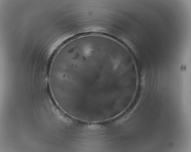 X0000112351117200908201433
