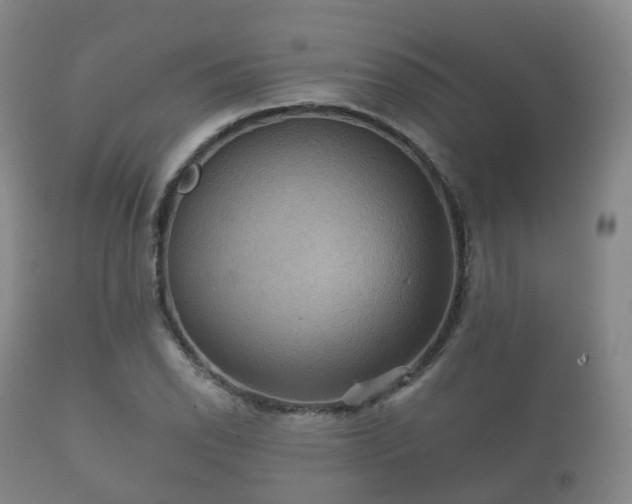 X0000112351118200908201433