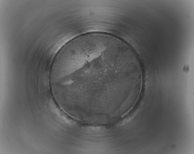 X0000112351121200908201433