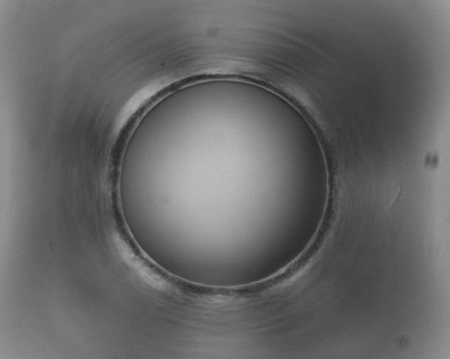 X0000112351122200908201433