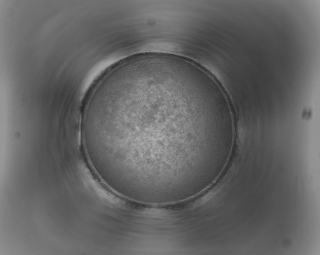 X0000112351123200908201433