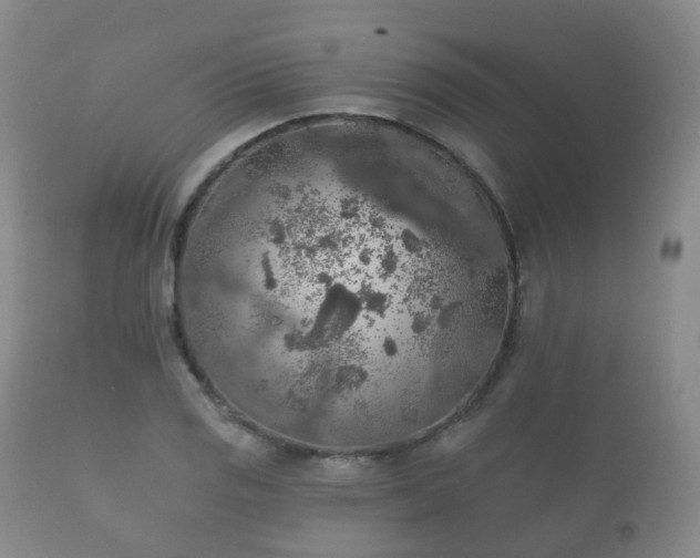 X0000112351125200908201433