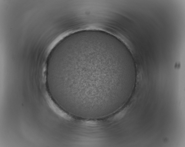X0000112351126200908201433