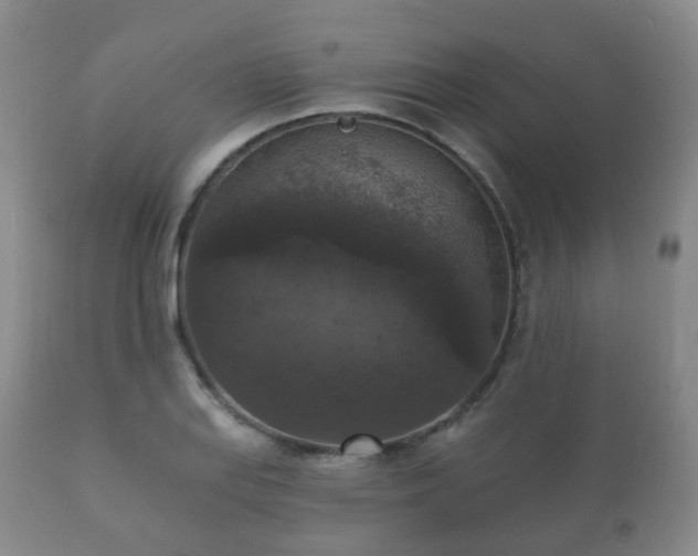X0000112351127200908201433