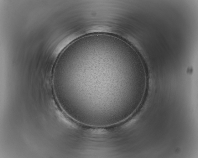 X0000112351129200908201433