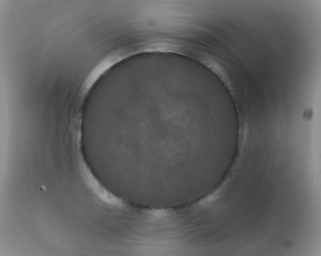 X0000112351130200908201433