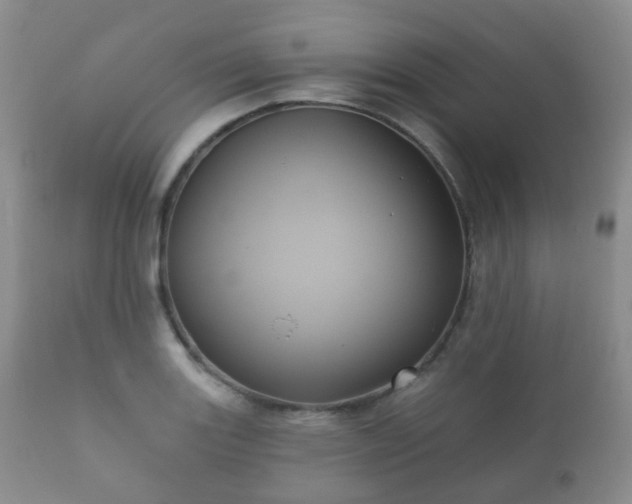 X0000112351131200908201433