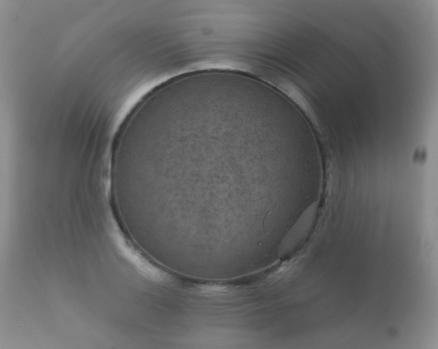X0000112351132200908201434