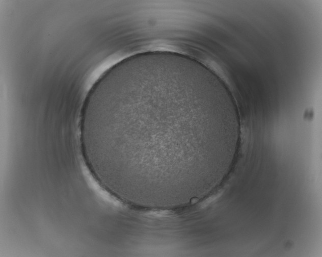 X0000112351133200908201434