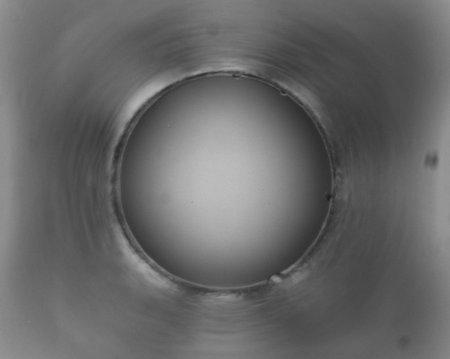 X0000112351135200908201434