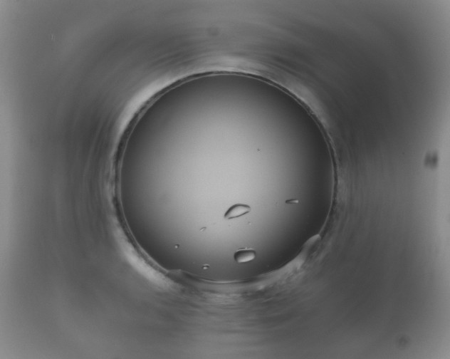 X0000112351136200908201434