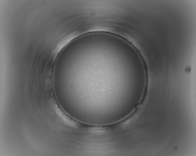 X0000112351137200908201434