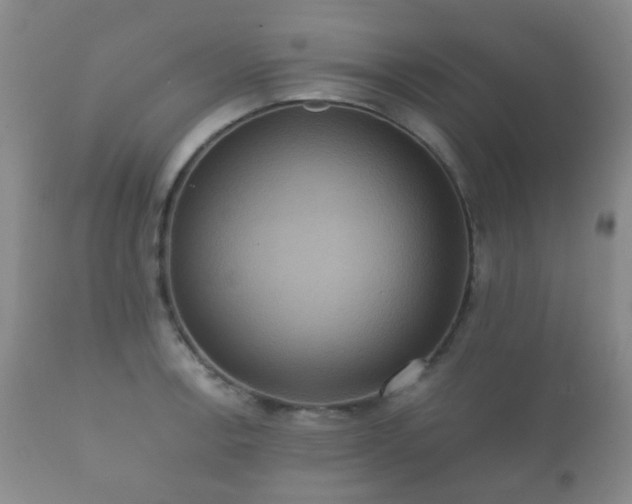 X0000112351138200908201434