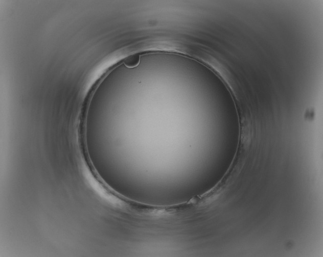 X0000112351139200908201434
