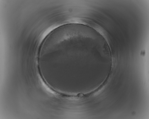 X0000112351141200908201434