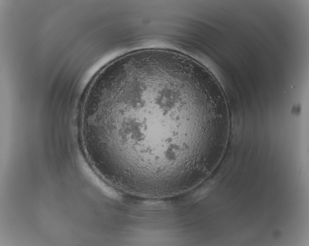 X0000112351142200908201434