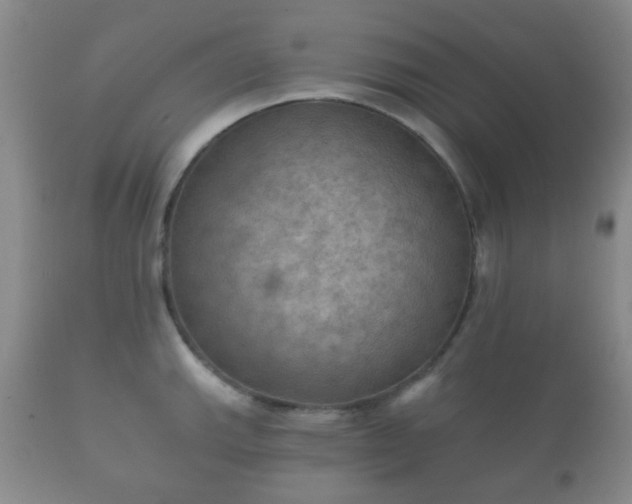 X0000112351143200908201434