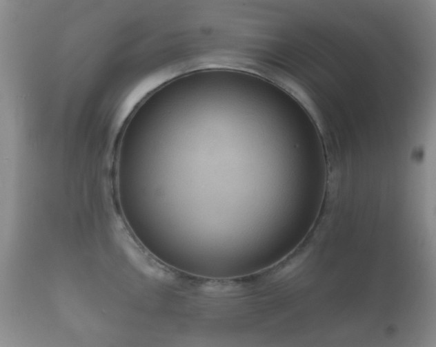 X0000112351146200908201434
