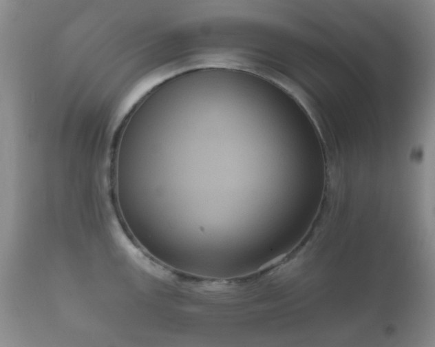 X0000112351147200908201434