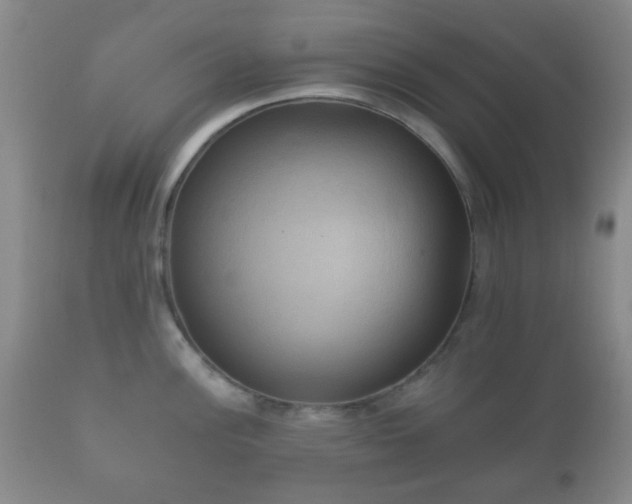 X0000112351148200908201434
