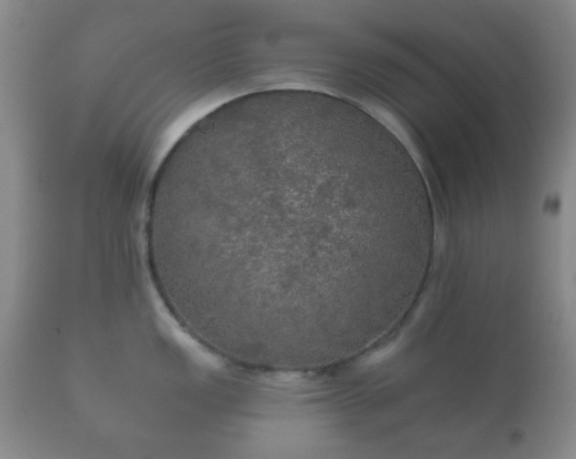 X0000112351149200908201434