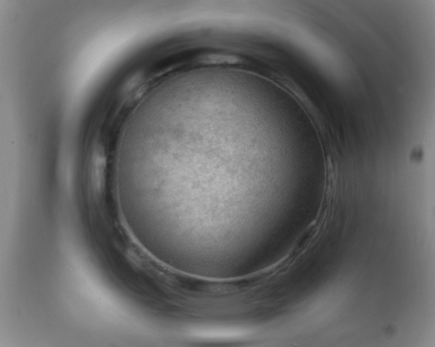 X0000112351151200908201434