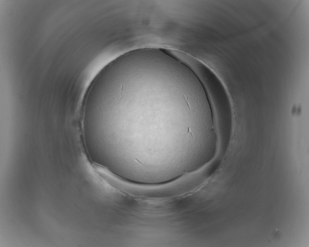 X0000112351152200908201434