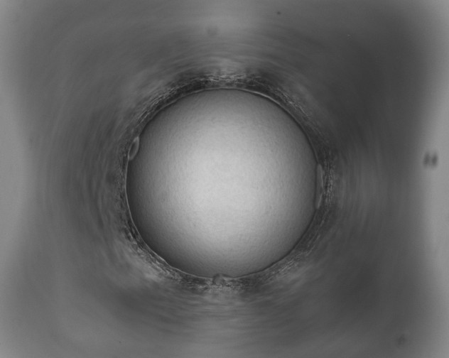 X0000112351153200908201433
