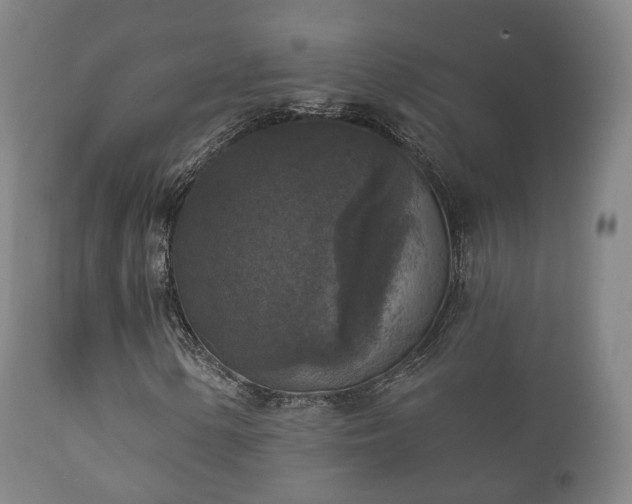 X0000112351154200908201433