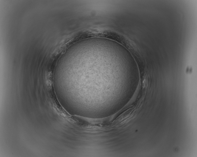 X0000112351156200908201433
