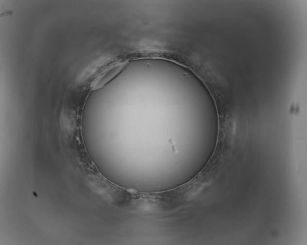 X0000112351157200908201433