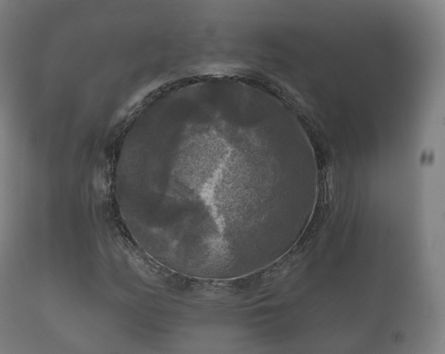 X0000112351158200908201433