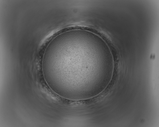 X0000112351159200908201433
