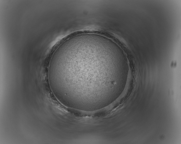 X0000112351160200908201433
