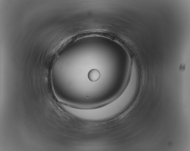X0000112351161200908201433