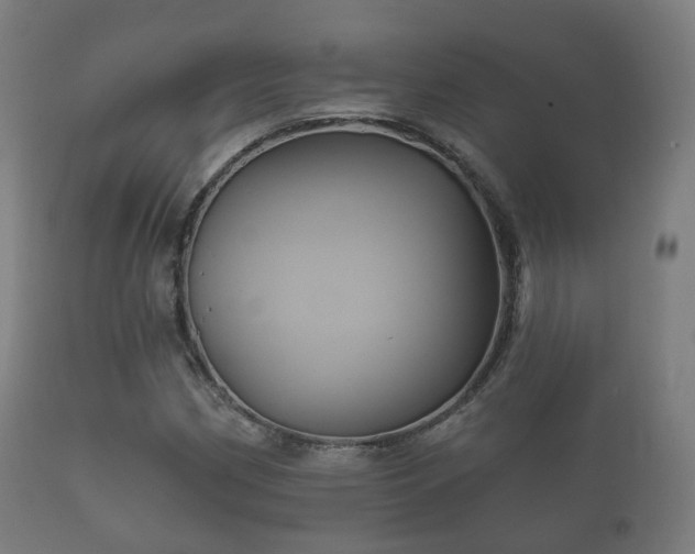 X0000112351162200908201433