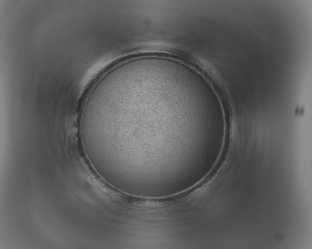 X0000112351164200908201433