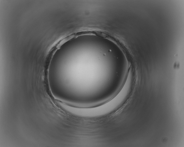 X0000112351165200908201433
