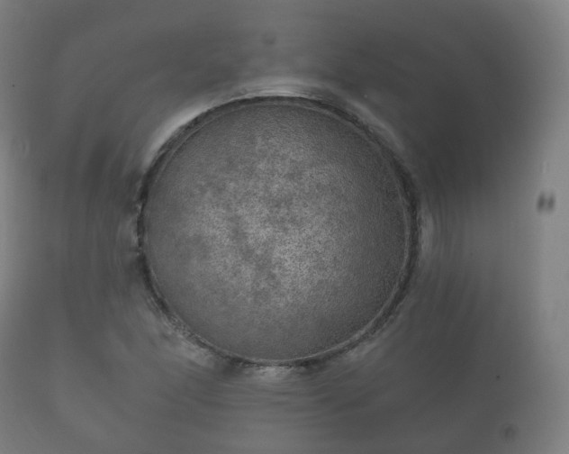 X0000112351166200908201433