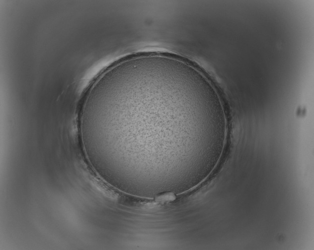 X0000112351167200908201433