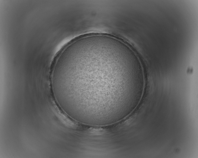 X0000112351168200908201433