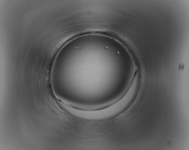X0000112351169200908201433