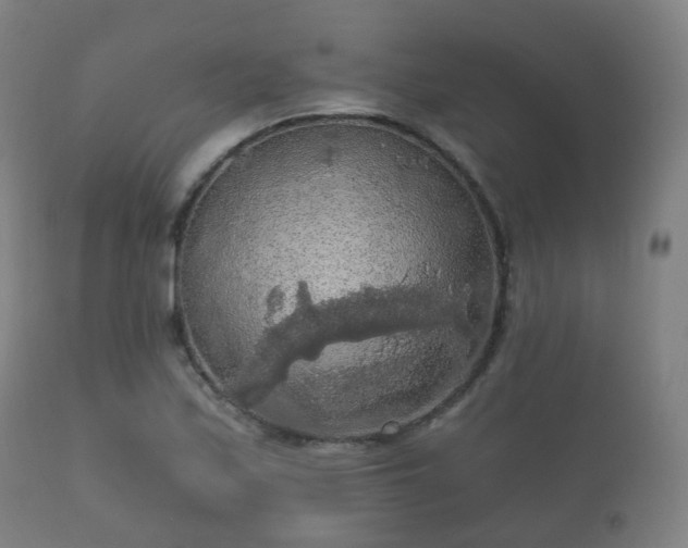 X0000112351171200908201433