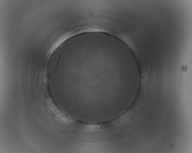 X0000112351173200908201433