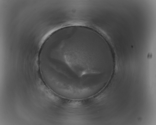 X0000112351174200908201433