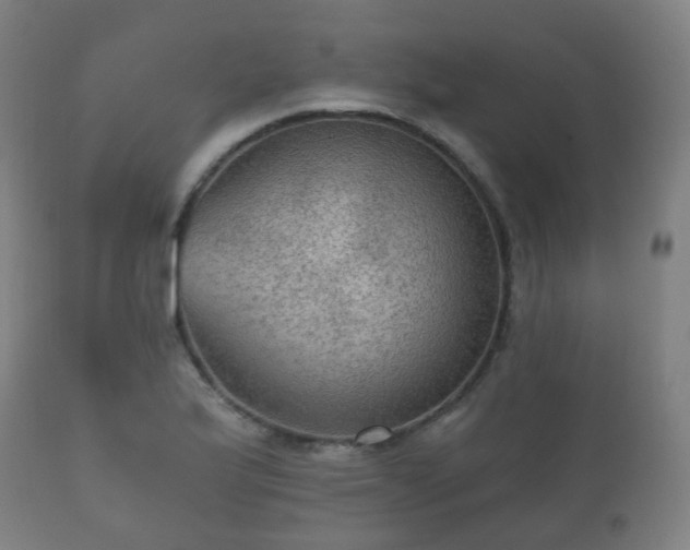 X0000112351175200908201433