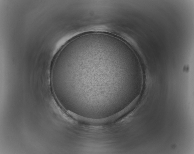 X0000112351176200908201433