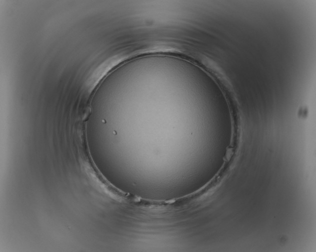 X0000112351177200908201433
