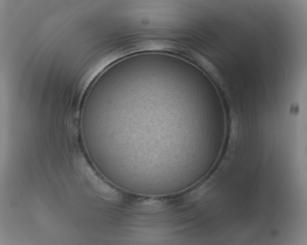 X0000112351178200908201433